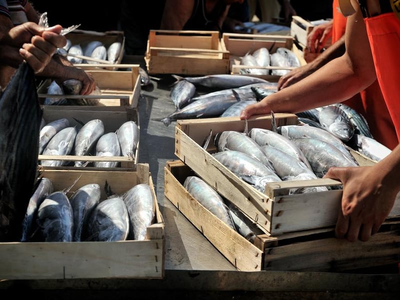 According to the Marine and Coastal Access Act 2009, it is illegal to handle fish in suspicious circumstances. The law used to only apply with salmon, but was amended to include all fish in 2009.