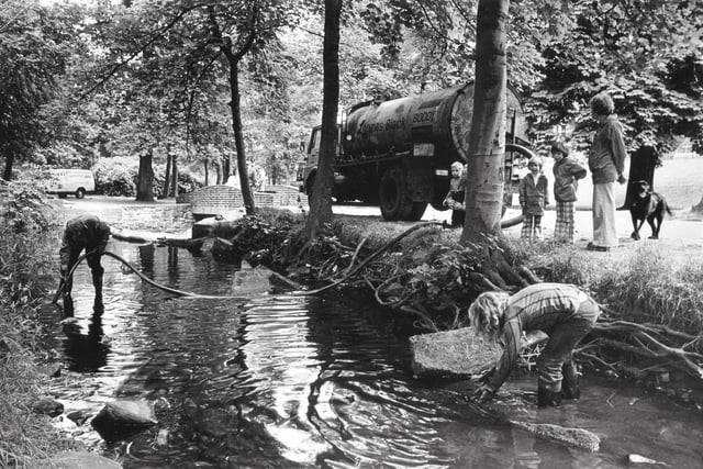 Sheffield retro: 17 nostalgic photos looking back at Endcliffe Park ...