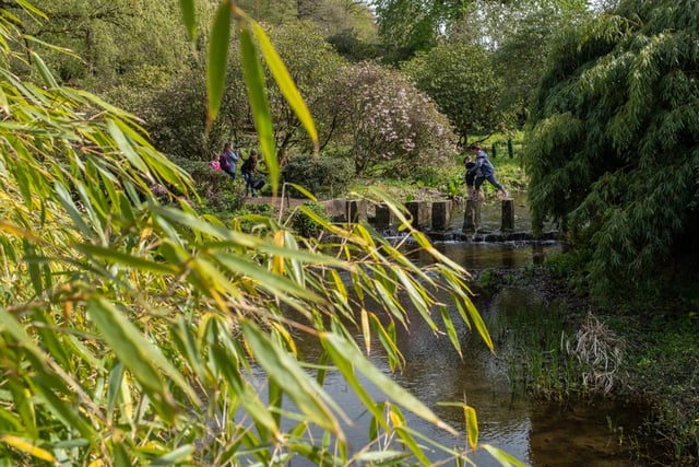 There are more than 100 acres of gardens to explore in the grounds of this attractive stately home, including the Bird Gardens, where you can see exotic species including penguins, owls, flamingos and parrots.