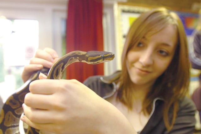 This event in Oakerside in Peterlee gave people a chance to meet snakes and insects 14 years ago.