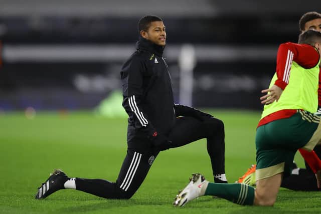 Rhian Brewster hopes to face his former club Liverpool, when they visit Sheffield United tomorrow: David Klein/Sportimage