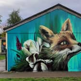 The mural on Meersbrook Park pavilion in Sheffield which has been created by popular artist Faunagraphic.
