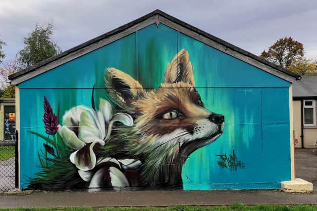 The mural on Meersbrook Park pavilion in Sheffield which has been created by popular artist Faunagraphic.