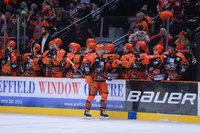 Tomas Pitule celebrates at the bench. (Dean Woolley)
