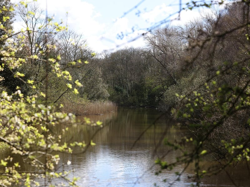 Foxes Forest, Portsmouth, offers up a picturesque walking area which is a popular choice amongst many throughout the year.
Picture: Sam Stephenson.
