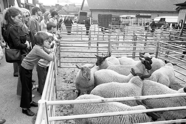 It was seen as a treat to be taken to the cattle market as a child - do you have fond memories of visiting?