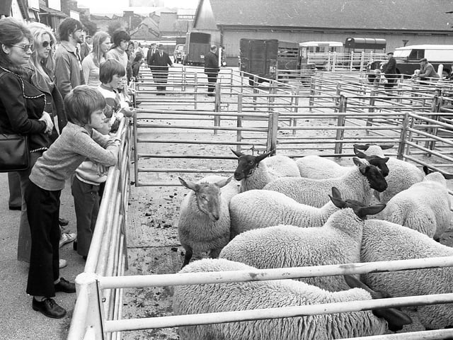 It was seen as a treat to be taken to the cattle market as a child - do you have fond memories of visiting?