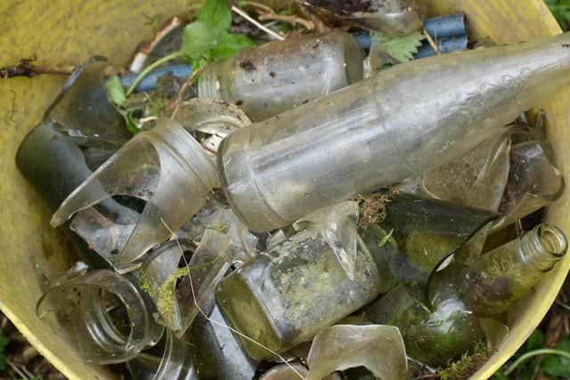Some of the glass collected in the woodland