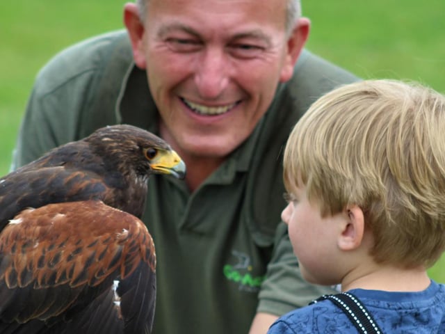 Falconry, White Post Farm