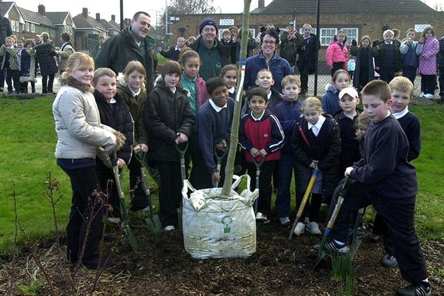 Some of the pupils from the Hartley Brook Primary School pictured helping to plant a tree in the school grounds after being chosen as one of the  city's 'Healthy Schools' (January 2004)