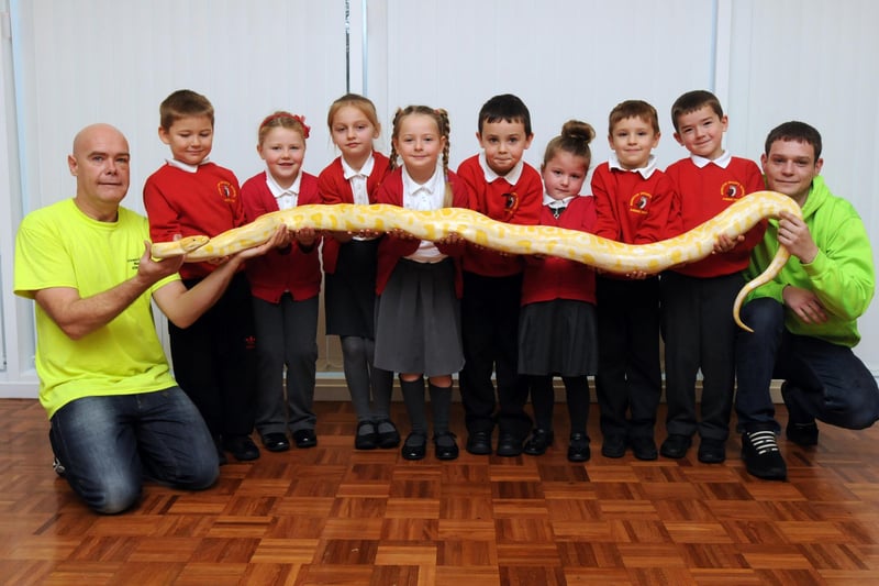 Exotic creatures were a big hit at Monkton Infants School in 2014 but were you pictured?