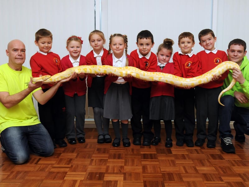 Exotic creatures were a big hit at Monkton Infants School in 2014 but were you pictured?