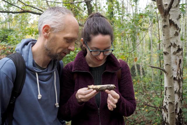 Florian Graber and Sarah Douglas examining a stick with fungus in Wardsend Cemetery                                                                                                 