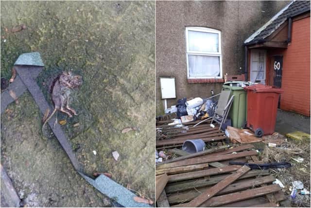 Martin Rambler, who rented out homes in Derbyshire and Bolsover, has been jailed for 10 months for letting homes dangerously unsafe and hazardous homes.