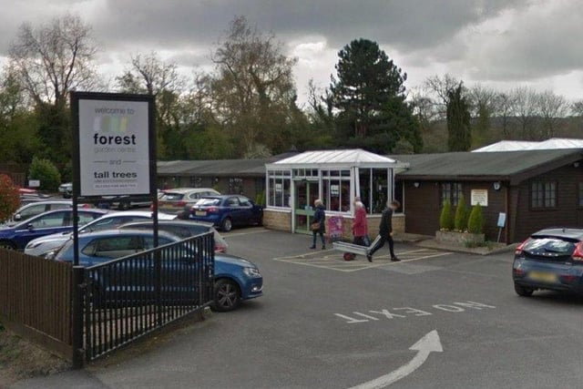 Trees of all sizes are available at the centre on Oddford Lane, Two Dales. (www.forestgardencentre.co.uk)