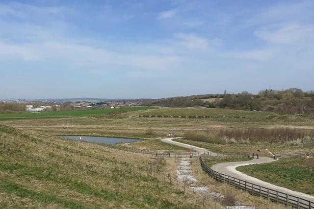The Avenue Country Park, at one stage in history, used to be a colliery - now, it couldn't be anything further from that. 

A peaceful sanctuary for flora and fauna, you can potentially find water voles, newts and kingfishers, to name a few at this park.