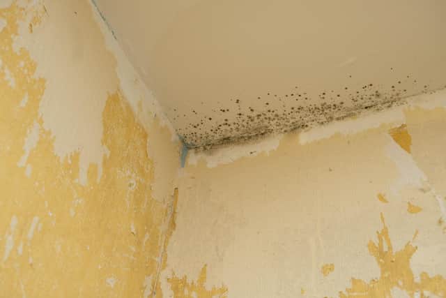 Together Housing have failed to address an "underlying issue" with mould and damp in one of their properties for five years, a Sheffield mum has told The Star (Picture: Dean Atkins)