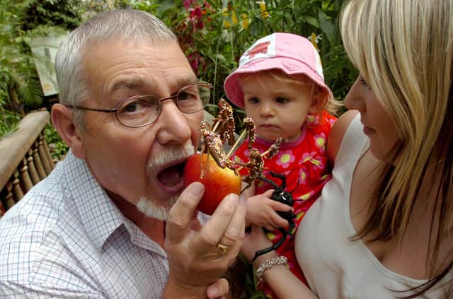 Grandad Ron O'Dell tries a chocolate-covered insect, watched by Abbie-Lu Bellis (16 months), held by Kim Bellis, at the Tropical Butterfly House, North Anston, in June 2008