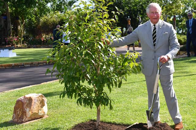Royals planting trees (photo: Getty Images)