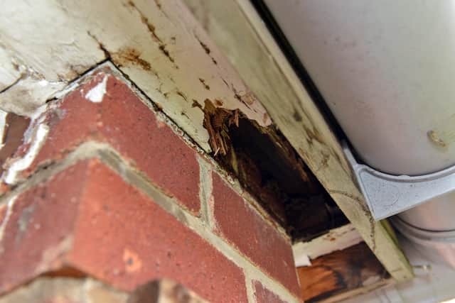 A leak has caused damp in Juliet's porch, leaving the wood to rot