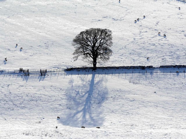 Campsie Glen, January 5, 2010
