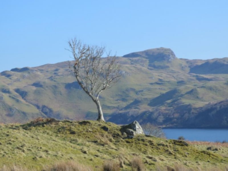 The island enjoys spectacular views over Loch Melfort and the Isle of Shuna.