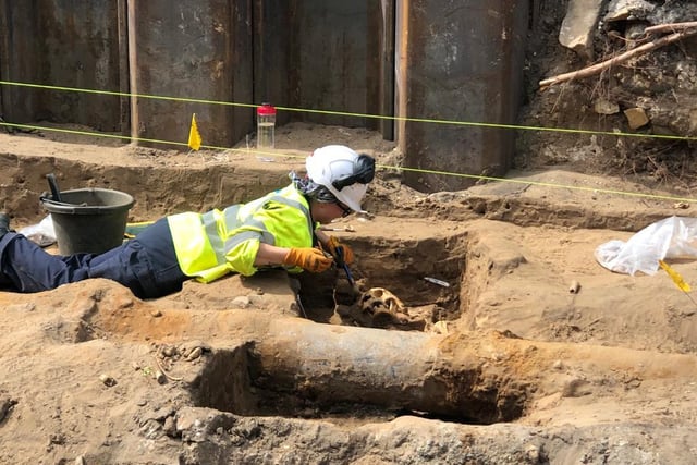 A fascinating medieval graveyard of 14th century bodies has been uncovered during the ongoing Trams to Newhaven project.
