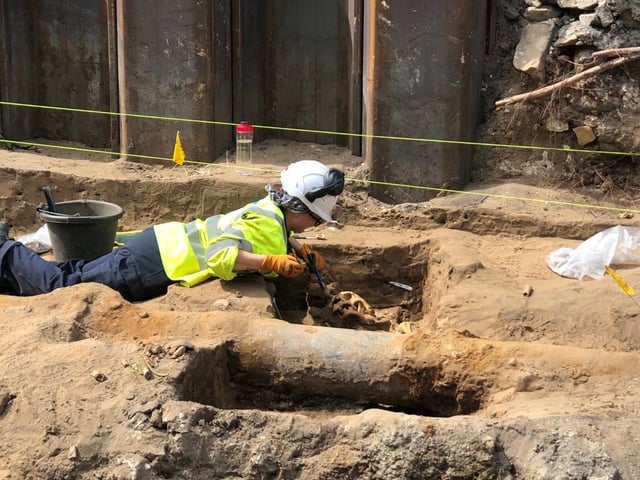 A fascinating medieval graveyard of 14th century bodies has been uncovered during the ongoing Trams to Newhaven project.