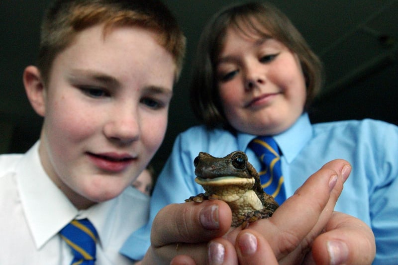 Pippin the tree frog was a very welcome visitor to St Joseph's School in Hebburn in 2003. Here are Alfie Grey and Georgia Moore saying hello.