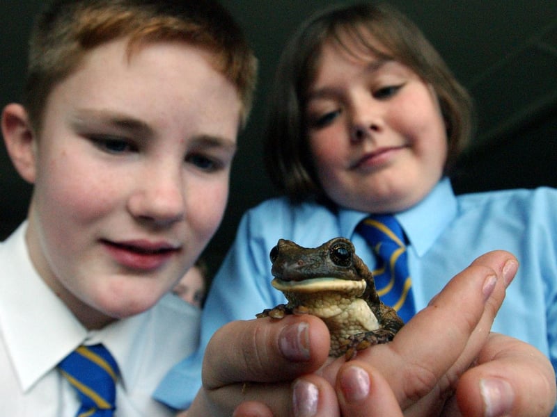Pippin the tree frog was a very welcome visitor to St Joseph's School in Hebburn in 2003. Here are Alfie Grey and Georgia Moore saying hello.