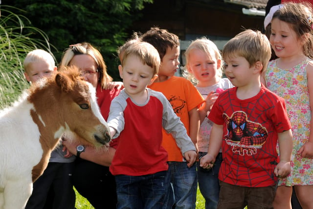 Children at The Horseshoe Nursery get to meet a Shetland Pony foal. Remember this from seven years ago?
