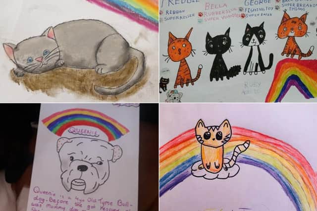 Children have been drawing pictures of their pets for Willows Cat Adoption Centre.