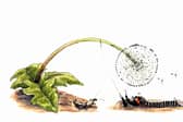 'The Little Adventures of Erig the Earwig'