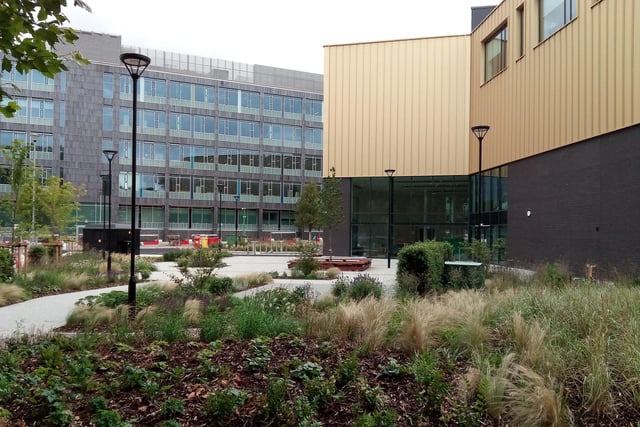 The landscaped outdoor area behind the Danum Gallery, Library and Museum viewed from Chequer Road
