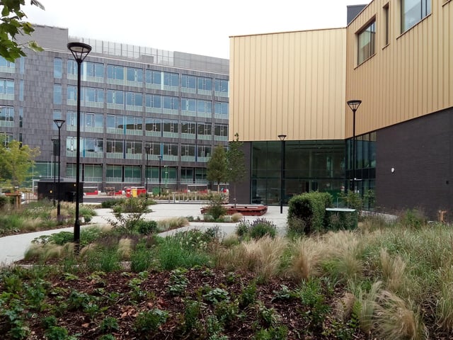 The landscaped outdoor area behind the Danum Gallery, Library and Museum viewed from Chequer Road
