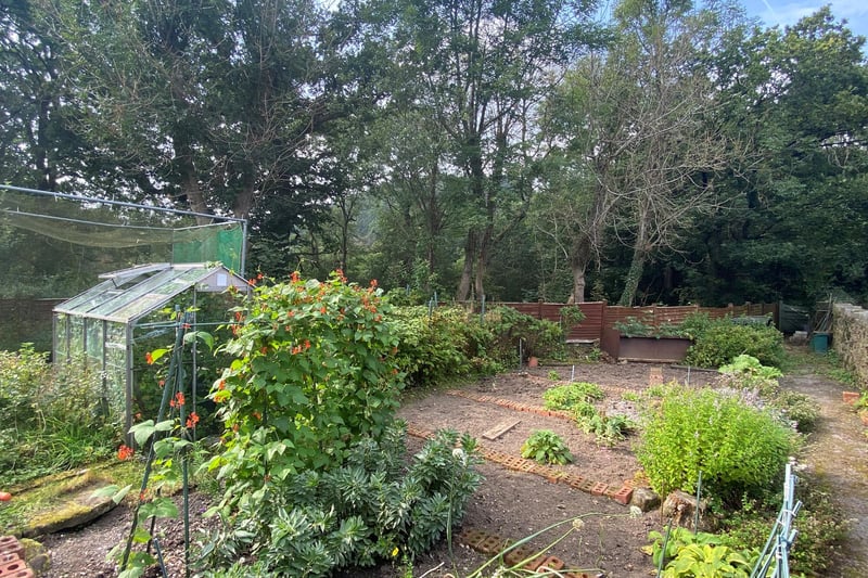 The vegetable patch