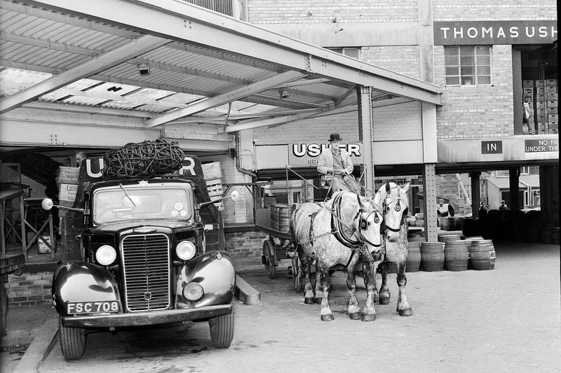 Usher's Brewery - Grey Percheron horses  pulling  a dray delivering beer to a bar in George Street Edinburgh in May 1960.