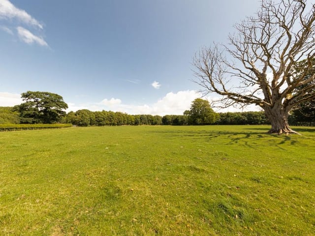 Grounds.