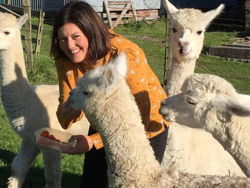 Beirhope Alpacas, located on a smallholding in the heart of the Cheviot Hills near Kelso, is just an hour from Edinburgh and has a herd of 23 of the adorable animals. They offer one, two and three hour treks throught the breathtaking Borders countryside, as well as a 'Meet-a-Paca' experience for younger children. Visit them at www.beirhope.co.uk.