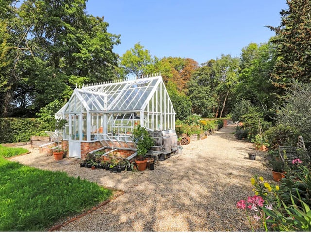 The greenhouse