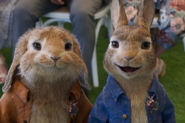One of the first movies to hit cinemas after the pandemic, Peter Rabbit 2: The Runaway was well received by families who flocked to see the sequel in its first week.