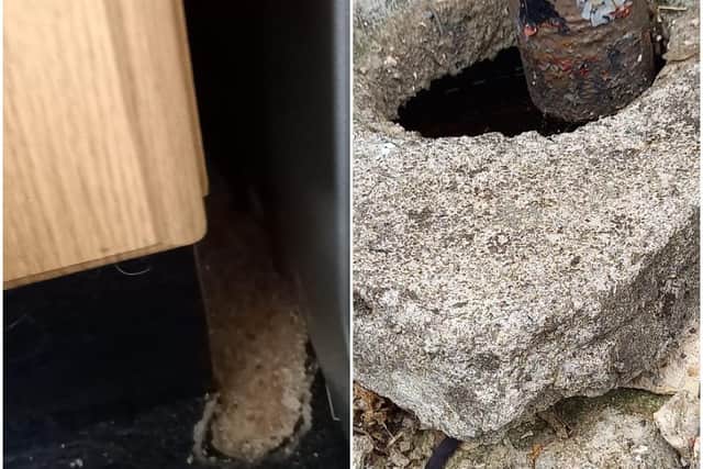 The damage that has been caused by the rats (left) and where the rats have been coming from (right).