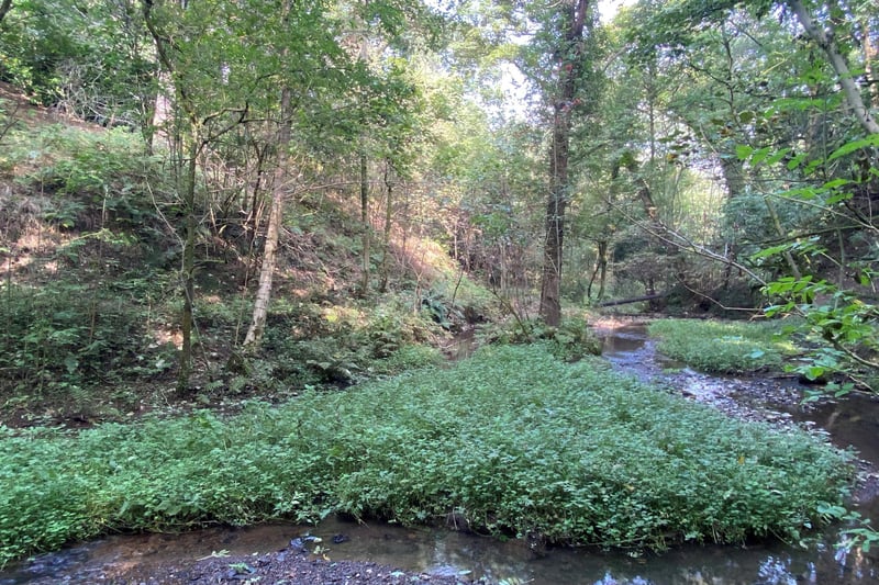 The property features four acres of woodland and a brook