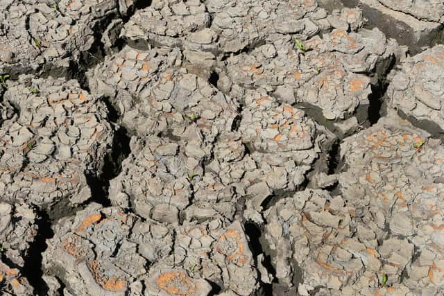 Cracked mud in the bottom of Howden Reservoir in the Peak District - Yorkshire Water are imposing a hosepipe ban from August 26 as water levels also fall low in their reservoirs