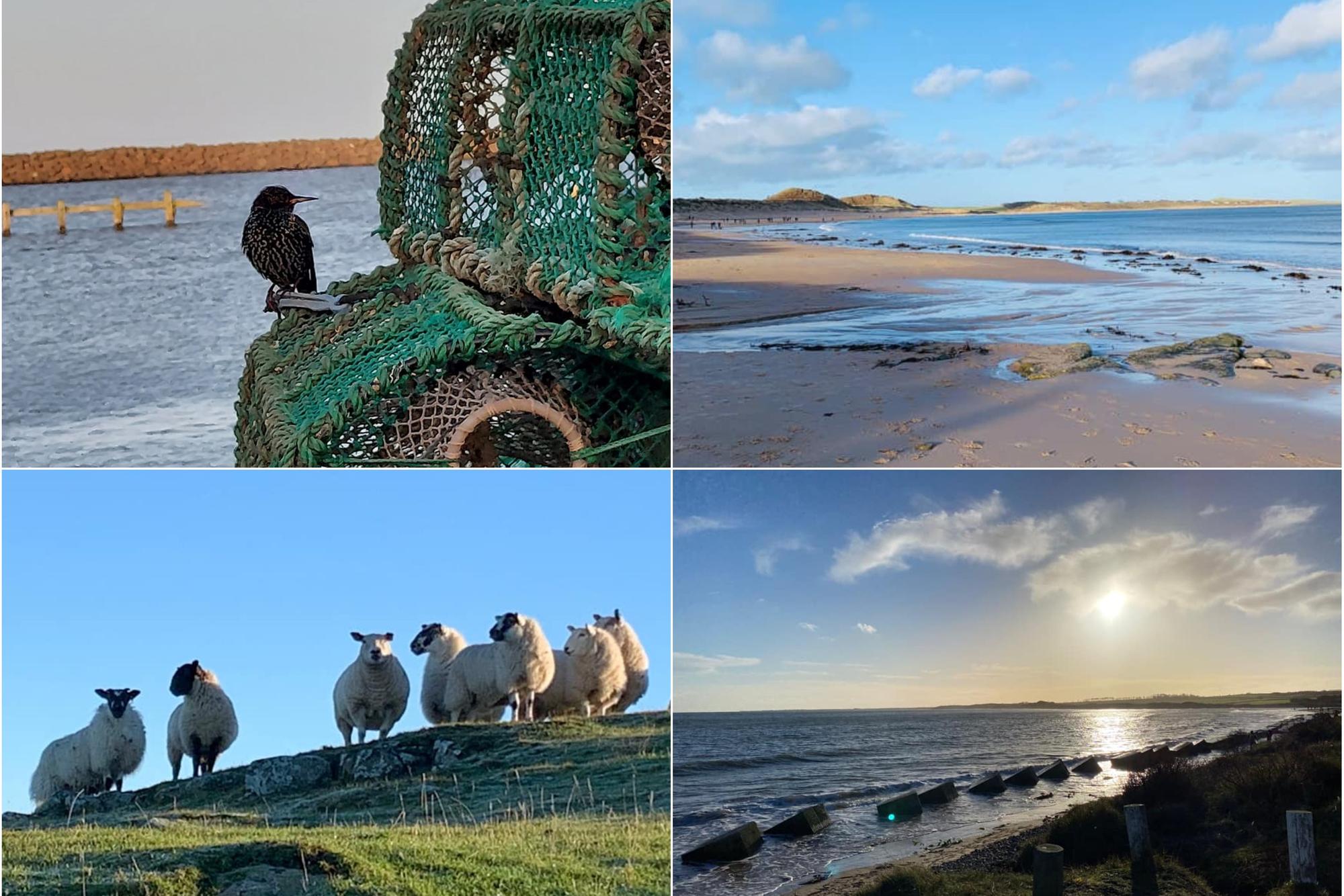 Readers have been sharing their pictures with us to start the new year in style.