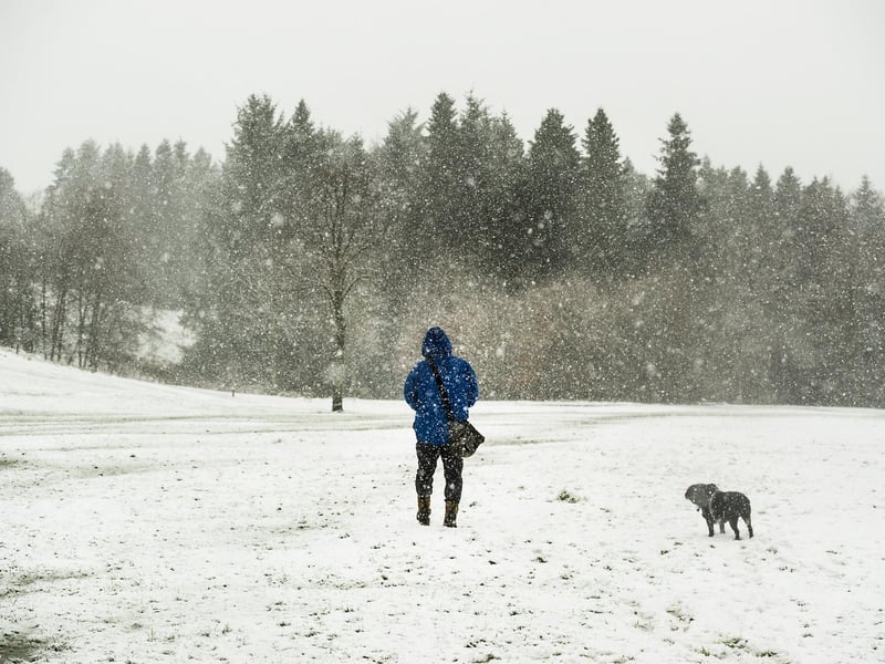 It scored 45.5, but with some stunning beauty spots like Calderglen Park, how can this be?