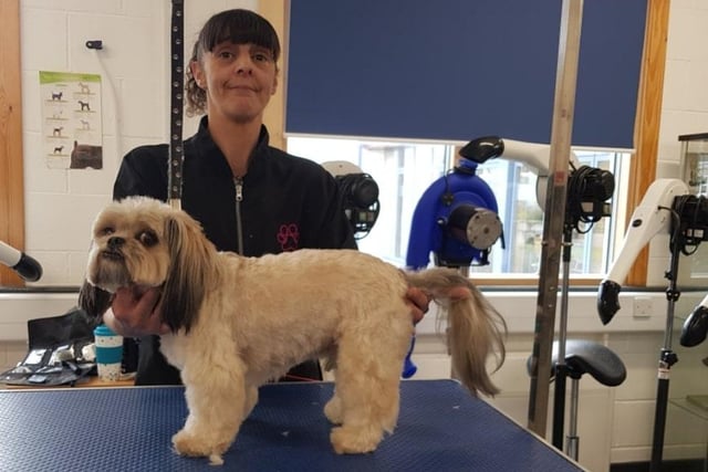 Hazel on her level 3 diploma professional dog grooming course at Hillsborough College .