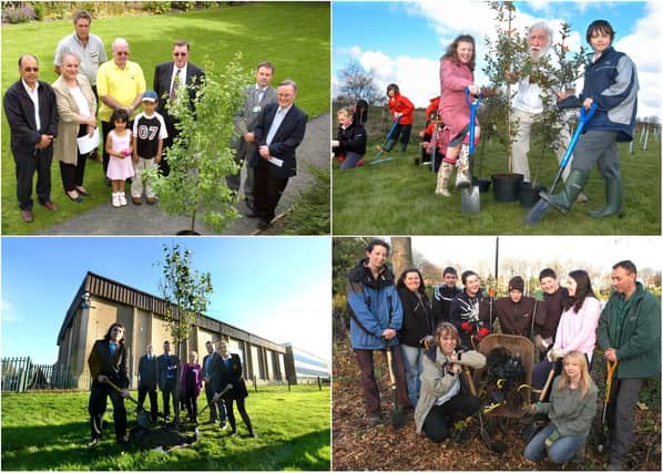 9 tree planting scenes from the past but can you spot someone you know?