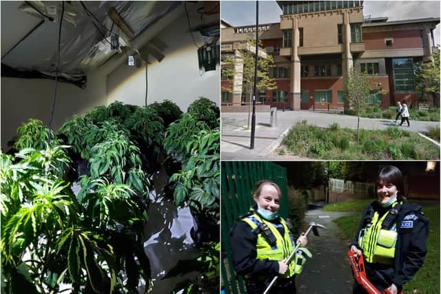 A man has been jailed over the discovery of a £70,000 cannabis farm in Sheffield
