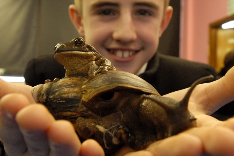 Hebburn School pupil Ryan McElwee is pictured holding a South American tree frog and a giant African snail in this reminder from 2006.